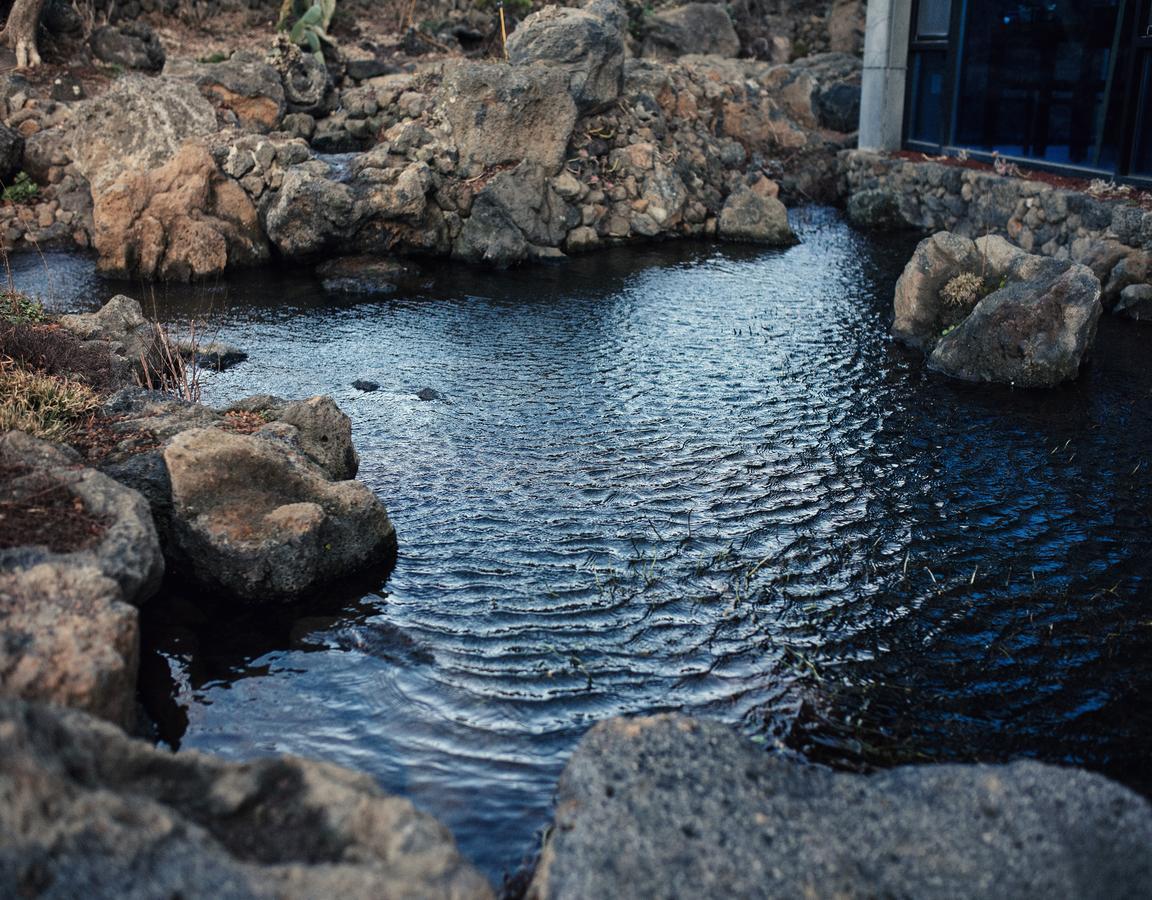 Jeju Feel Pension エクステリア 写真